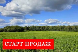 Поселок Карцево